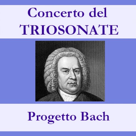 Triosonate   Progetto Bach